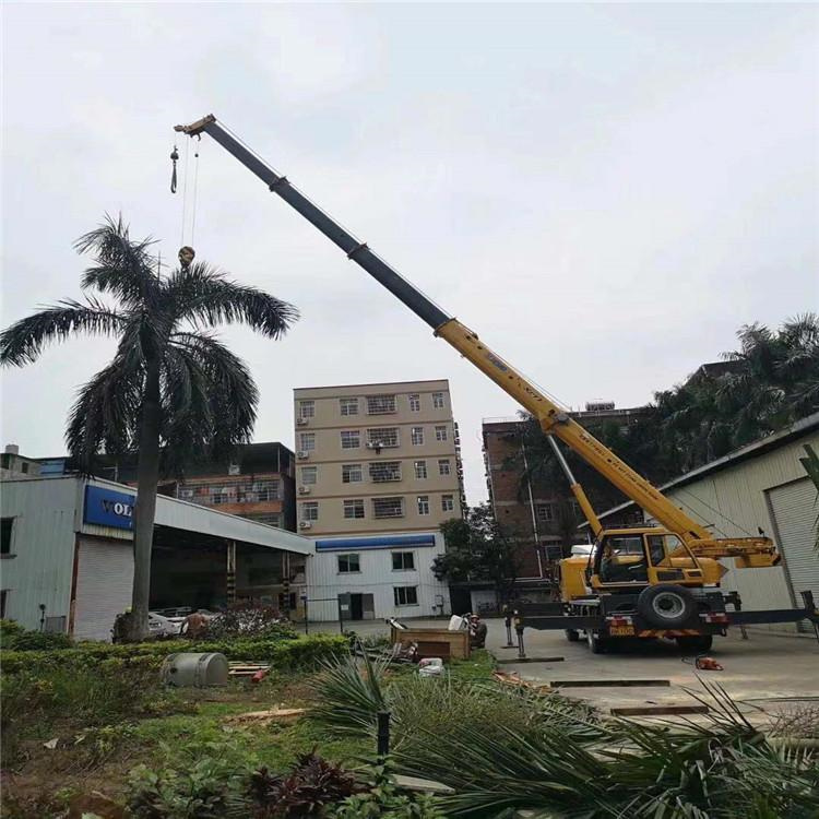 凤山吊车吊大树几种方法